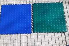 IMG-20220520-WA0028