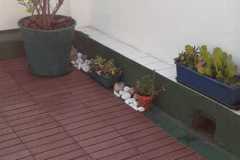 Decs-Marron1