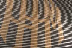 Alvear-Adaptative-Manal-con-Logo-Manal