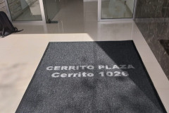 Cerrito-Plaza-TAPANDO-TAPA-EDENOR-METALICA-copia