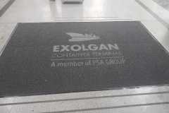 IMG-20211105-WA0001
